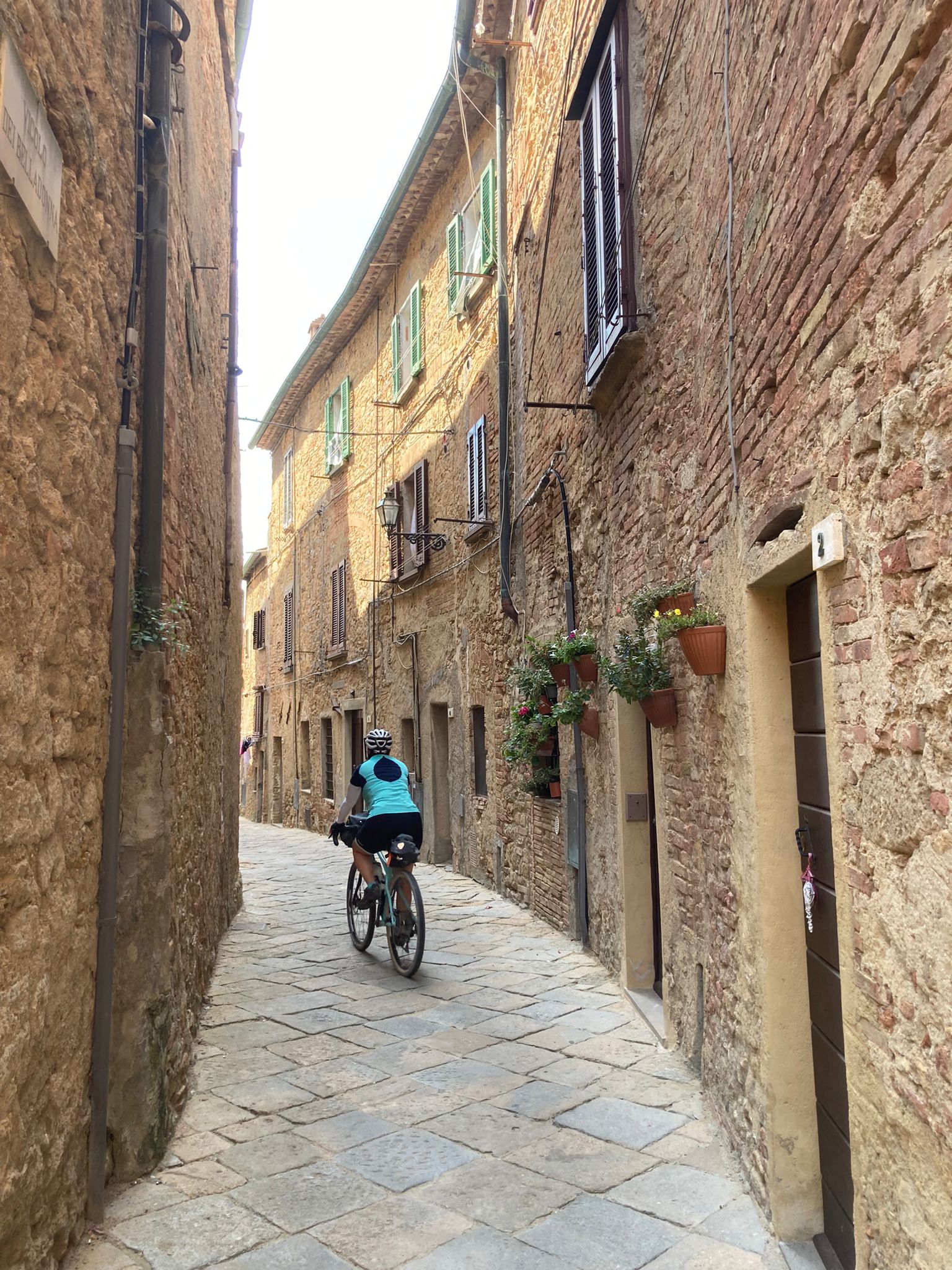 Volterra