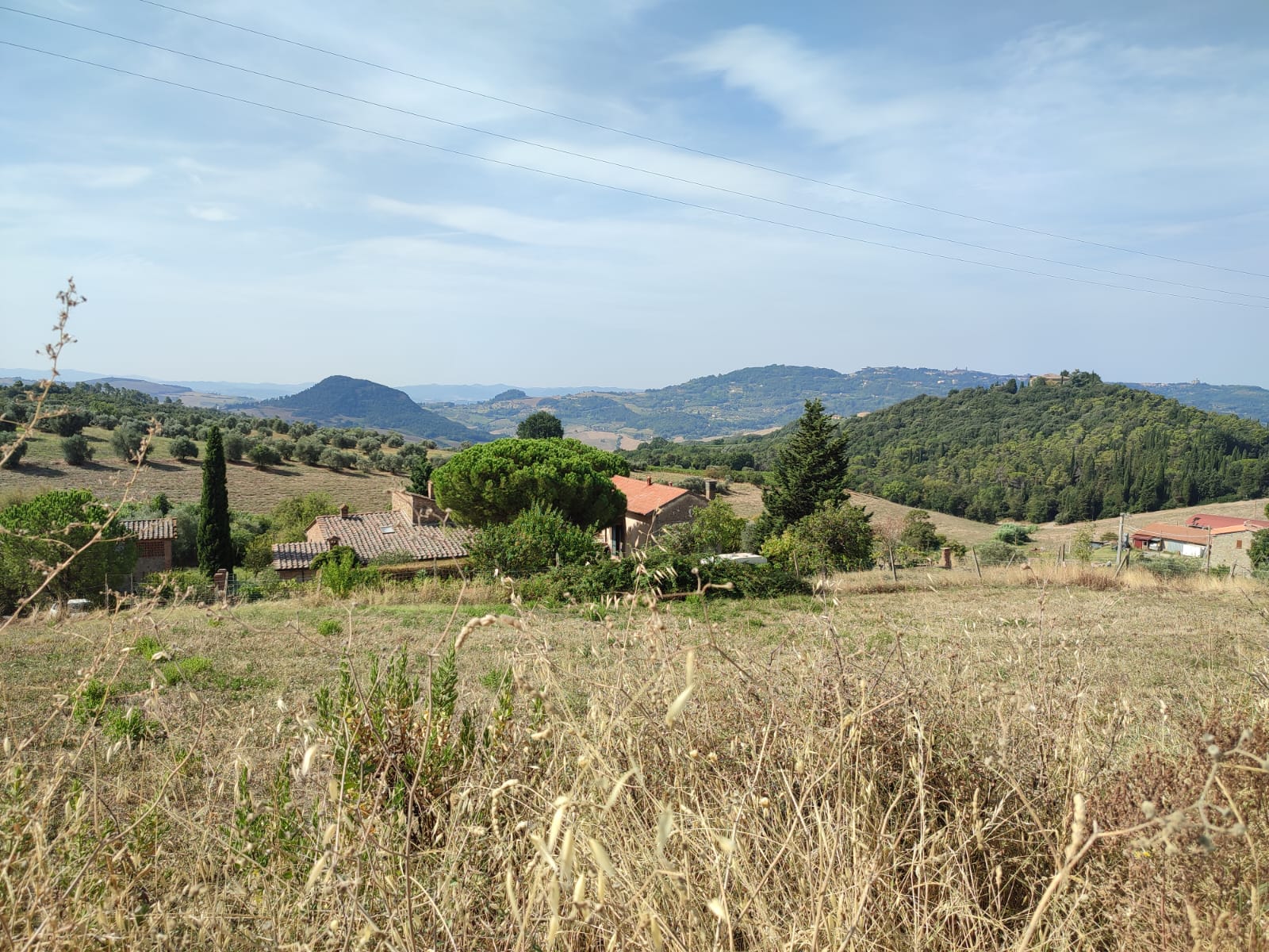 IMG-20230826_02