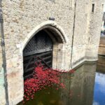 Coquelicots en céramique – Tower of London